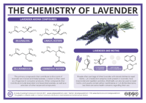 The Chemistry of Lavender