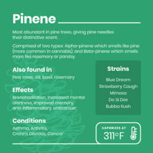 Pinene infographic