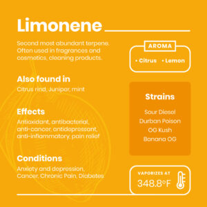 Limonene infograph