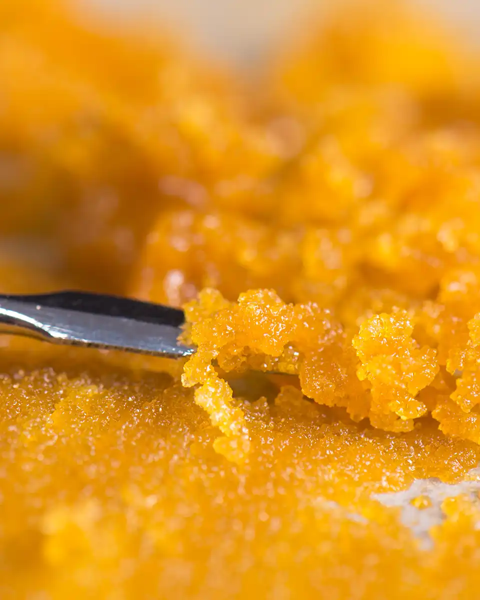 Pure Options Category Concentrates