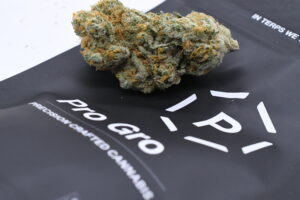 Pro Gro cannabis at Pure Options Michigan dispensaries