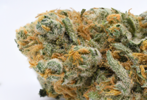 Crunch Berries weed grown by Pure Options