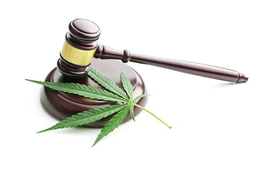 A wooden judge's gavel rests beside a cannabis leaf on a white background
