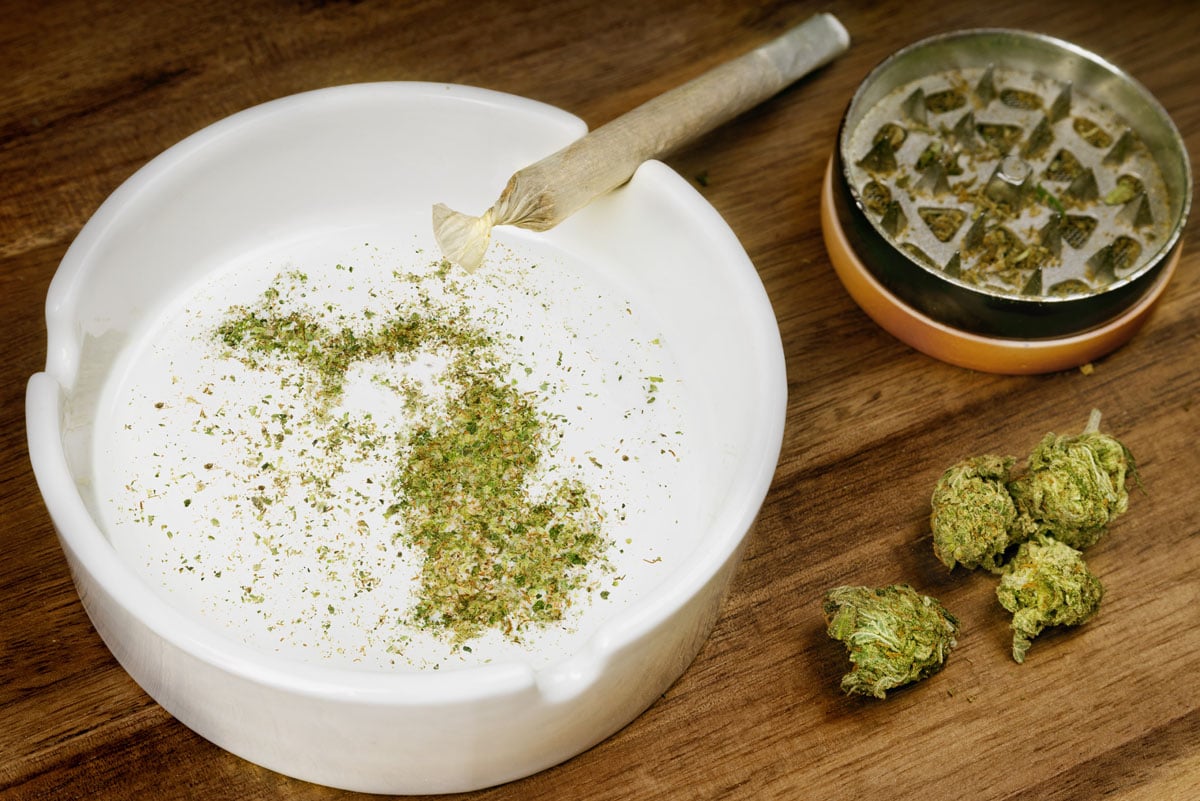 “Michigan-grown” means a product was cultivated, processed, and packaged by a state-licensed operator.