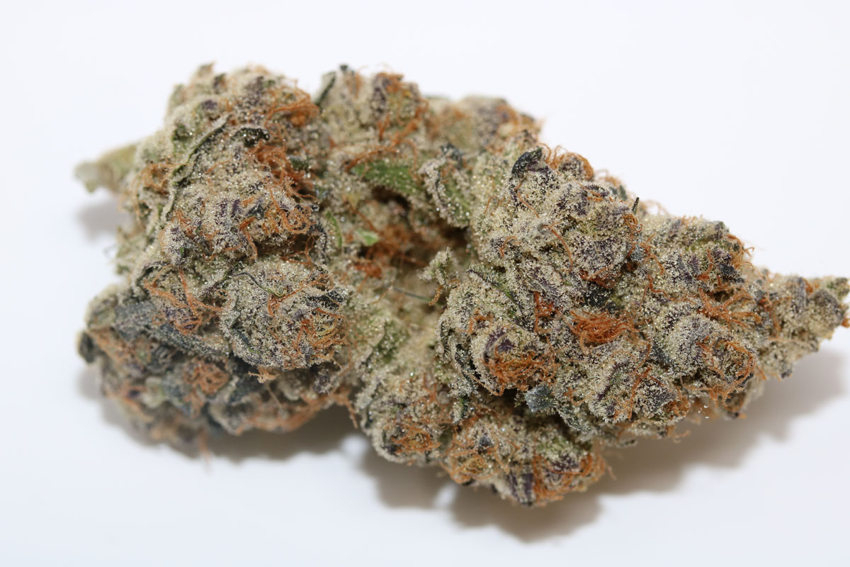 All legal cannabis in Michigan is tracked through a seed-to-sale system, ensuring transparency at every stage